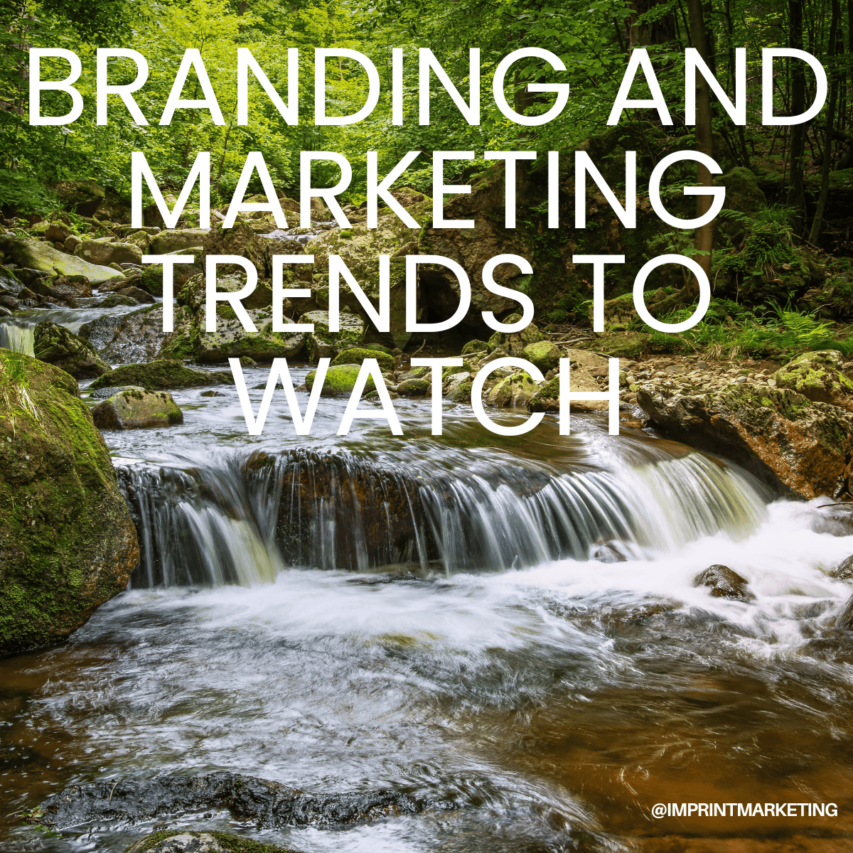 Branding and Marketing Trends to Watch